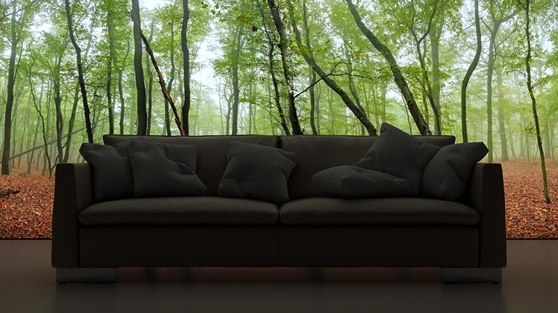 Sofa Image